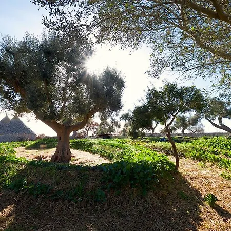 Masseria Foragno 빌라 오스투니